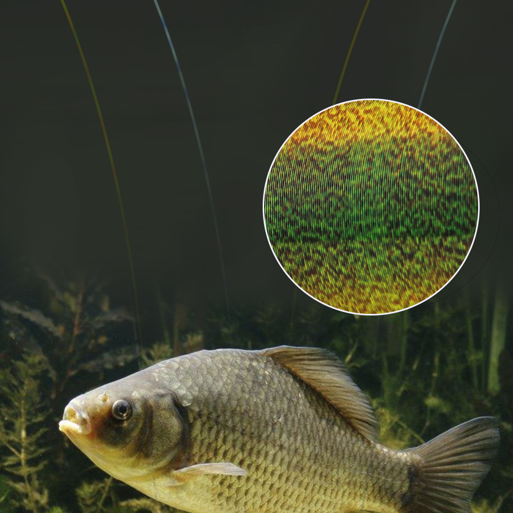 FTK 300M Invisible Fishing Lin – обзор и цена Fluorocarbon Line